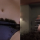 Image for article titled This Is What We Talk About When We Talk About Pubes